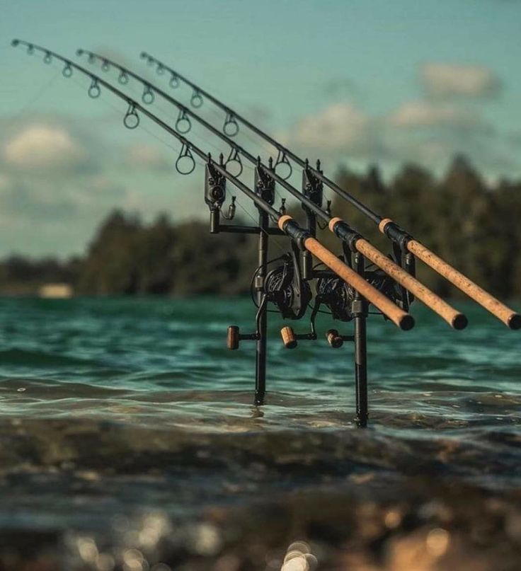 Hengelsport in Alphen Aan Den Rijn