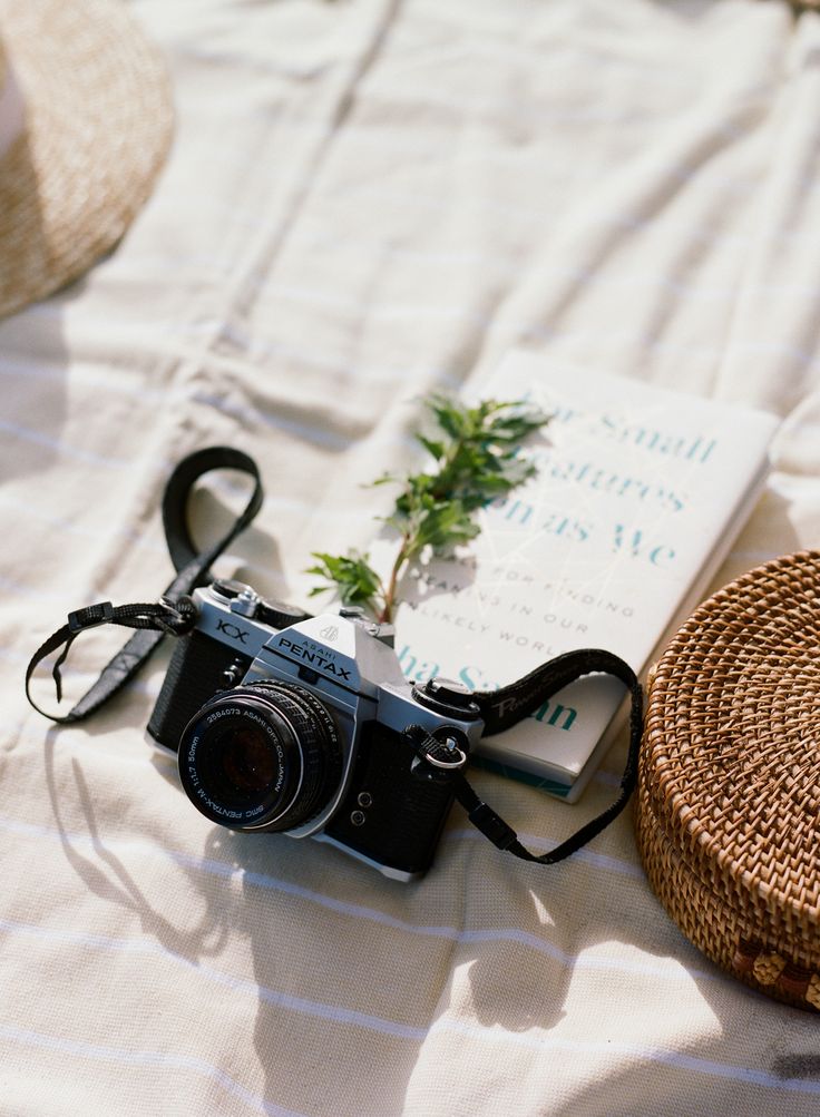 Trouwfotograaf in Alphen Aan Den Rijn