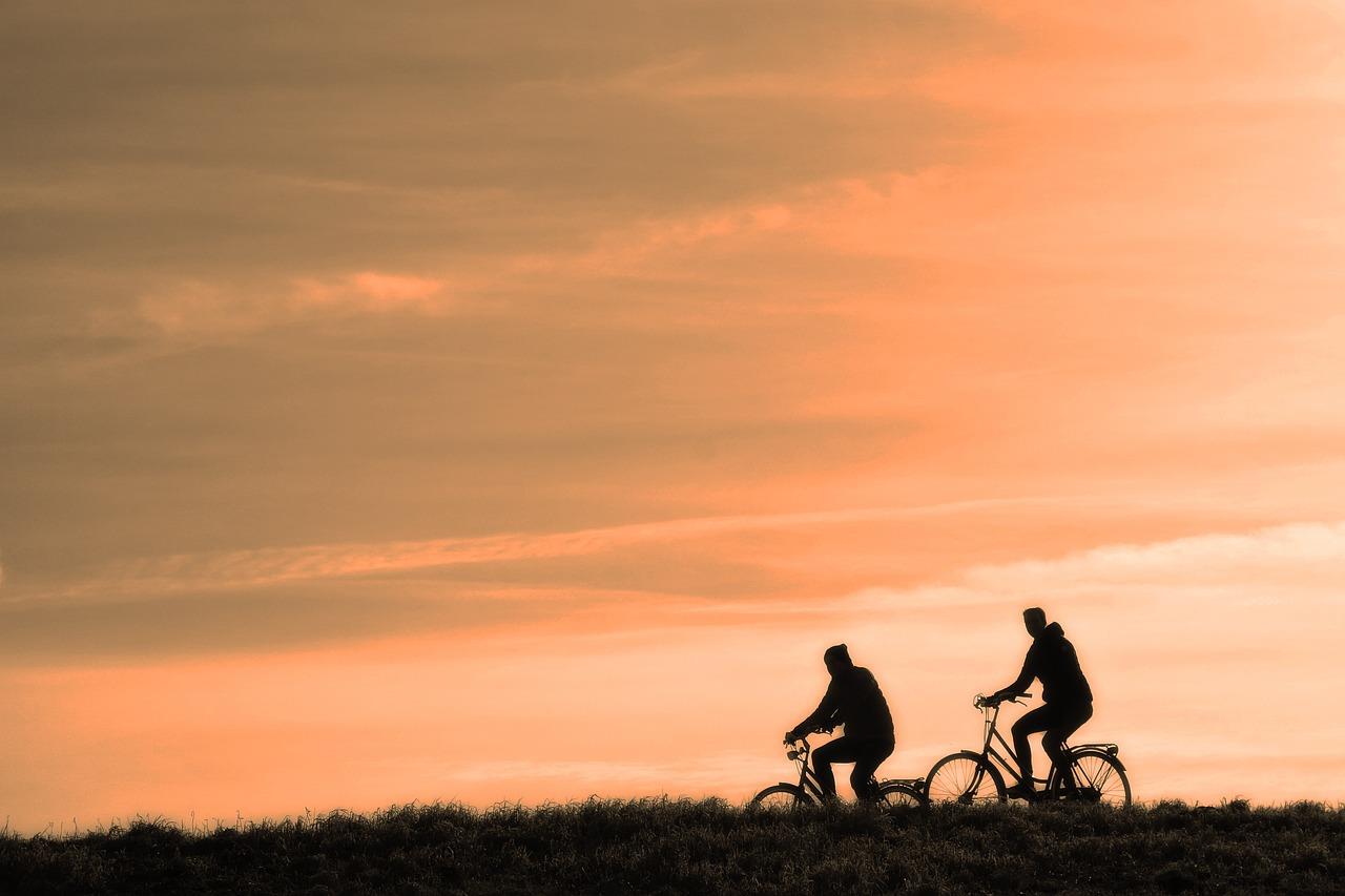 Bedrijven in Alphen Aan Den Rijn fietsenwinkel in Alphen Aan Den Rijn